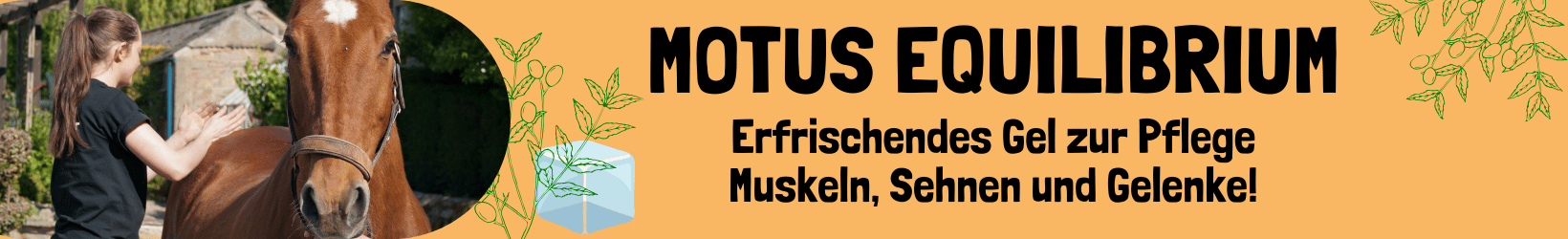 motus