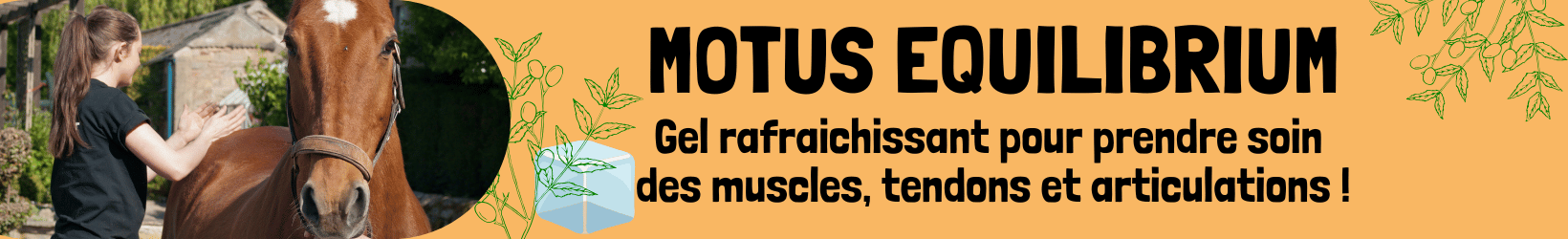 motus