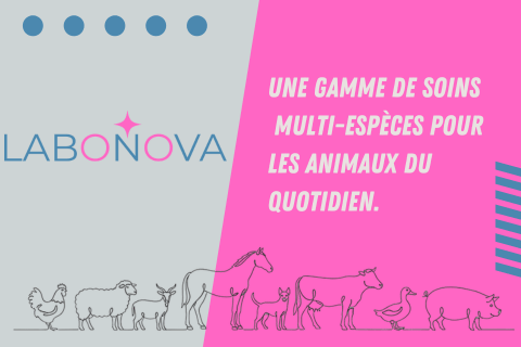 labonova