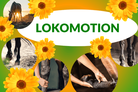Handy Thematisches Banner zur Lokomotion