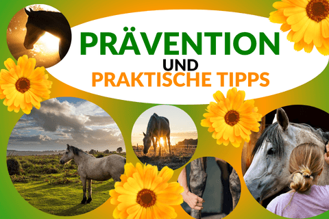 Handy Thematisches Banner zu Pr&auml;vention und Tipps