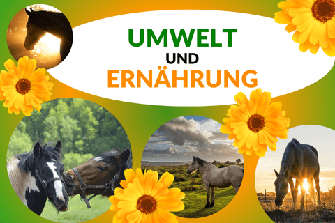 Umwelt und Ernährung