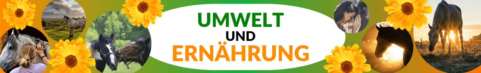 Umwelt und Ernährung mit Pferd