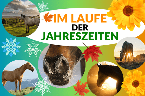 Laufe der Jahreszeiten