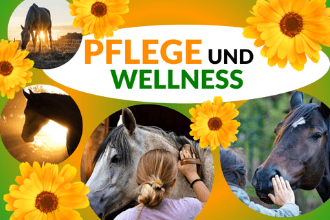 Pflege und Wellness