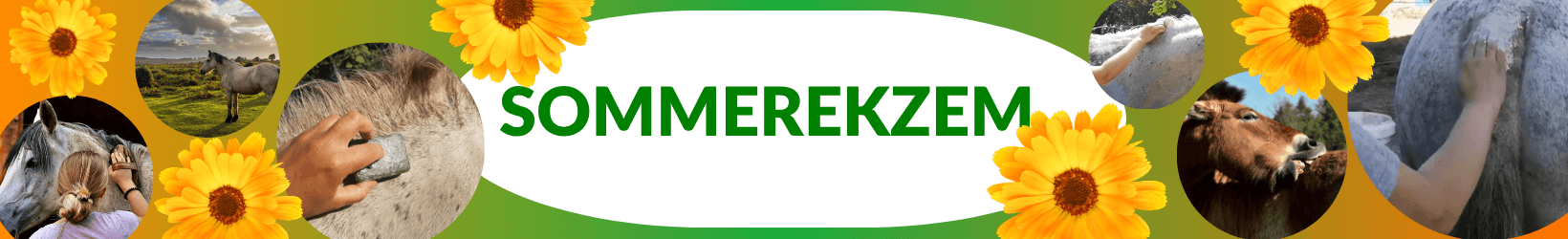Sommerekzem beim Pferd und Eseln
