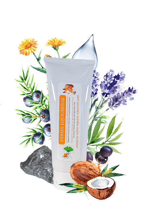 produit derma equilibrium soin cheval