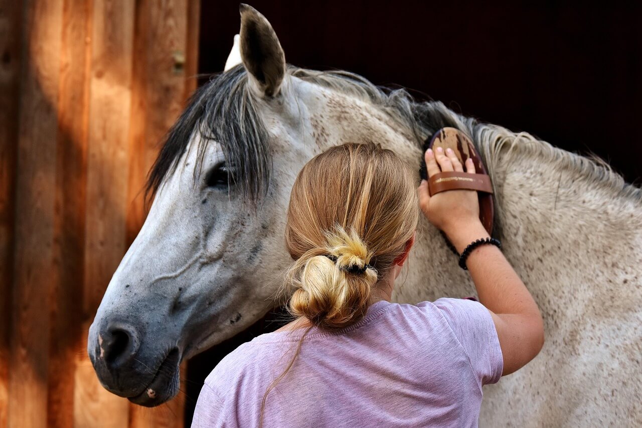 limiter d&eacute;mangeaisons dermite estivale cheval huile de lin 