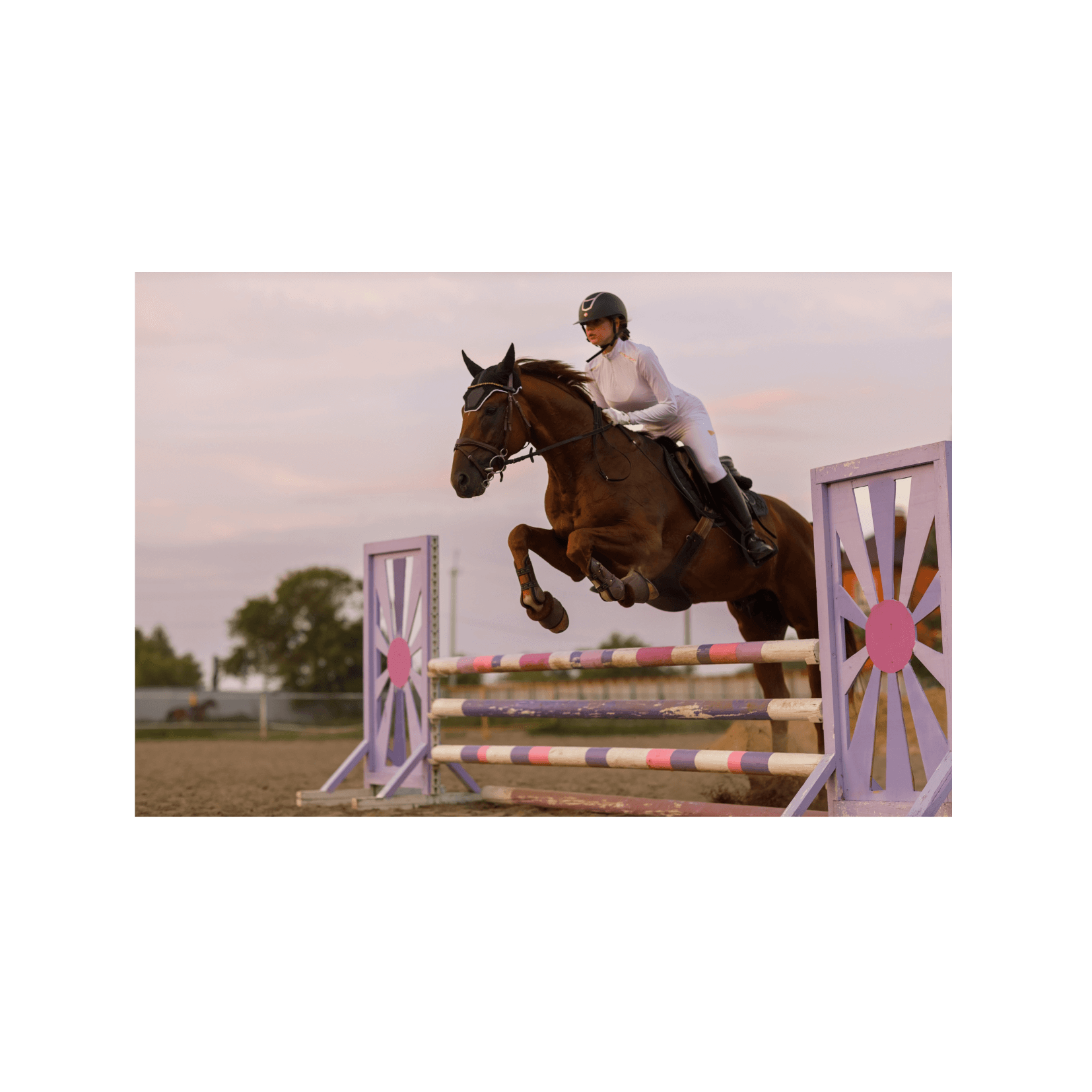 jeux olympiques cheval athl&egrave;te
