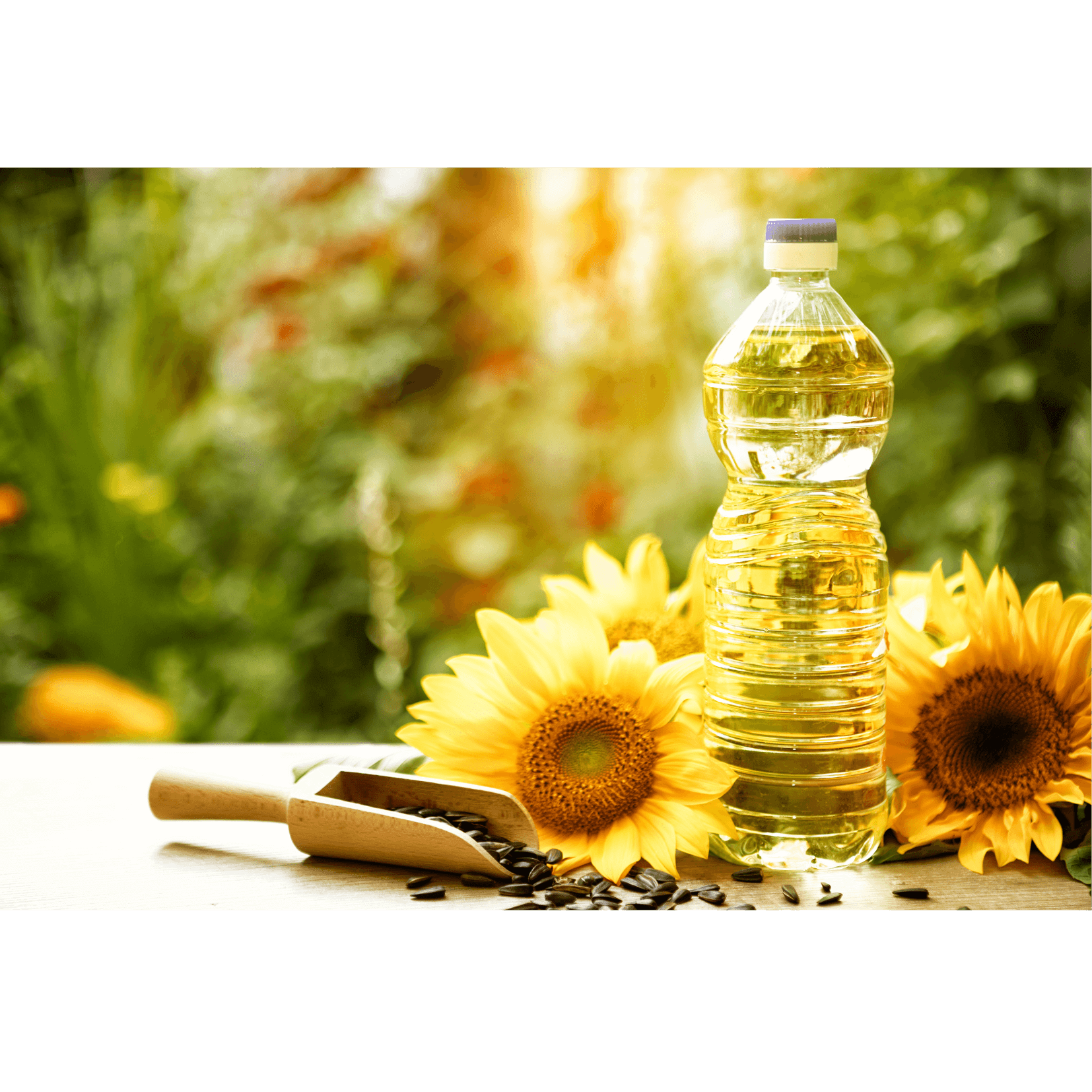 huile tournesol hydrate adoucit peau cheval
