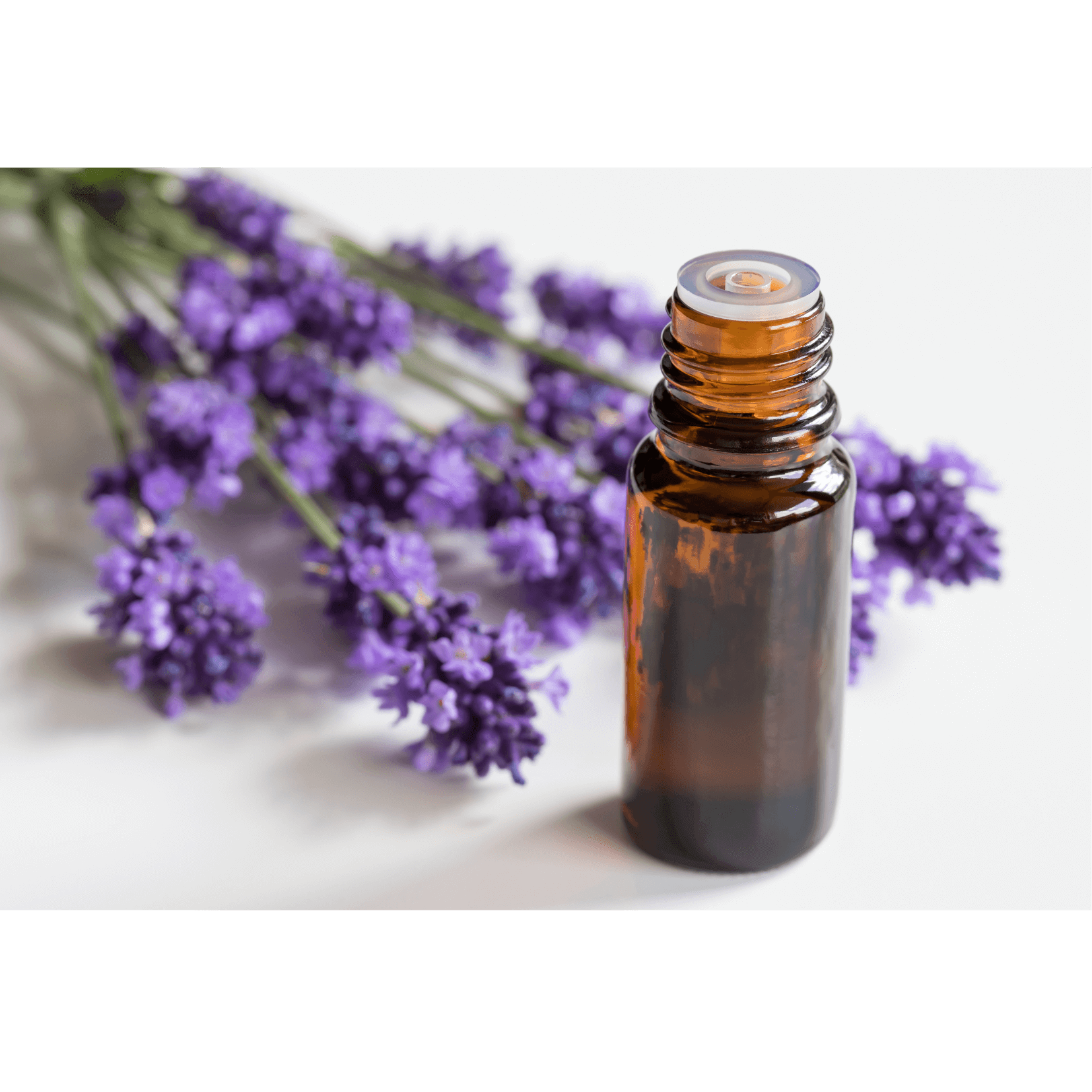 huile essentielle lavande favorise d&eacute;tente musculaire