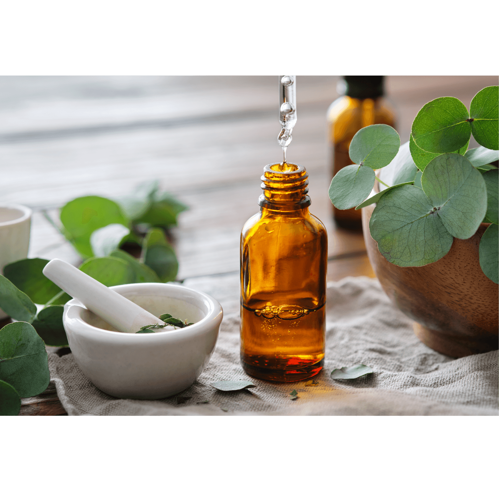 huile essentielle eucalyptus citronn&eacute; propri&eacute;t&eacute;s anti-inflammatoires