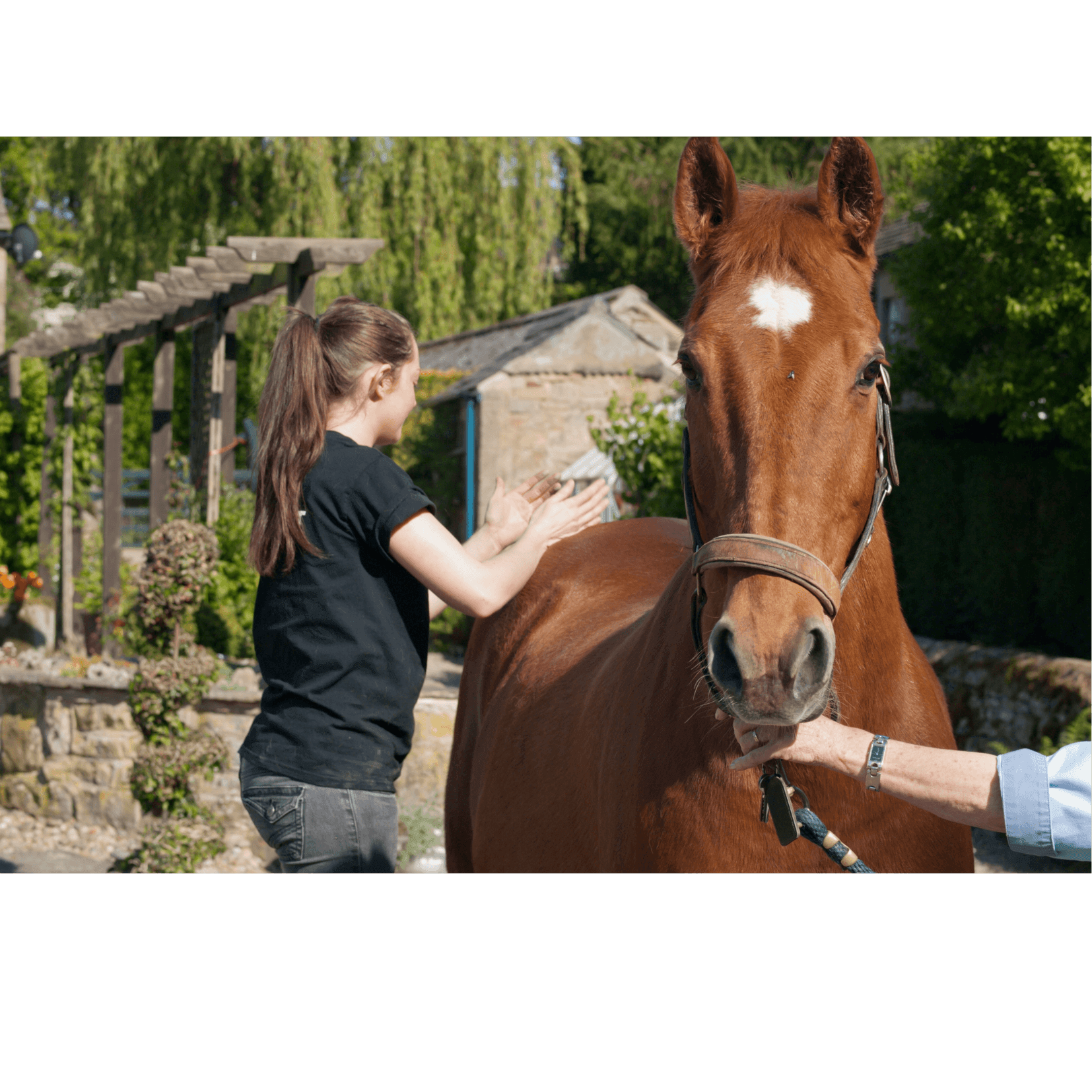 p&eacute;trissage roulement muscles cheval massage