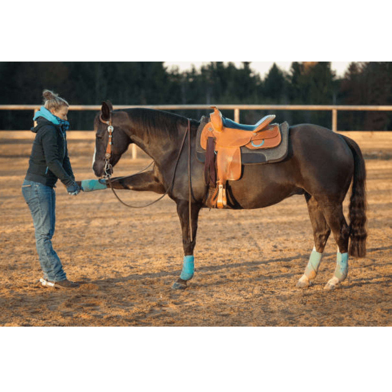 &eacute;tirements augmentation flexibilit&eacute; massage cheval
