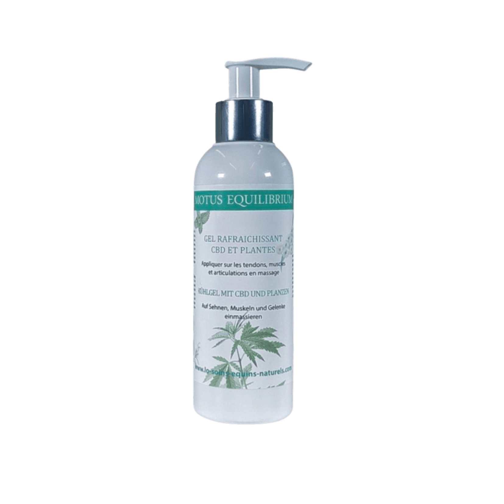 motus equilibrium soin massage