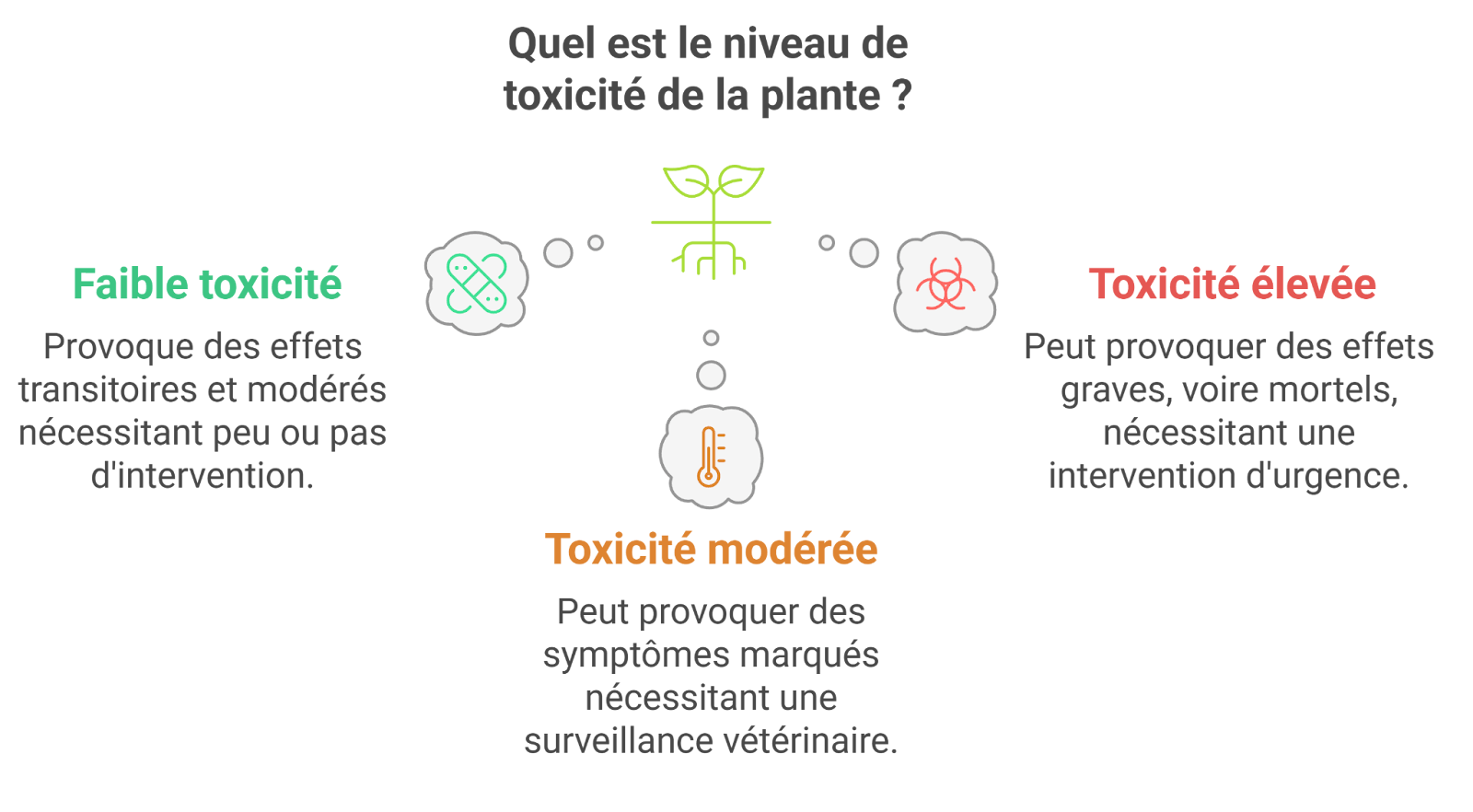 toxicit&eacute; plantes cheval