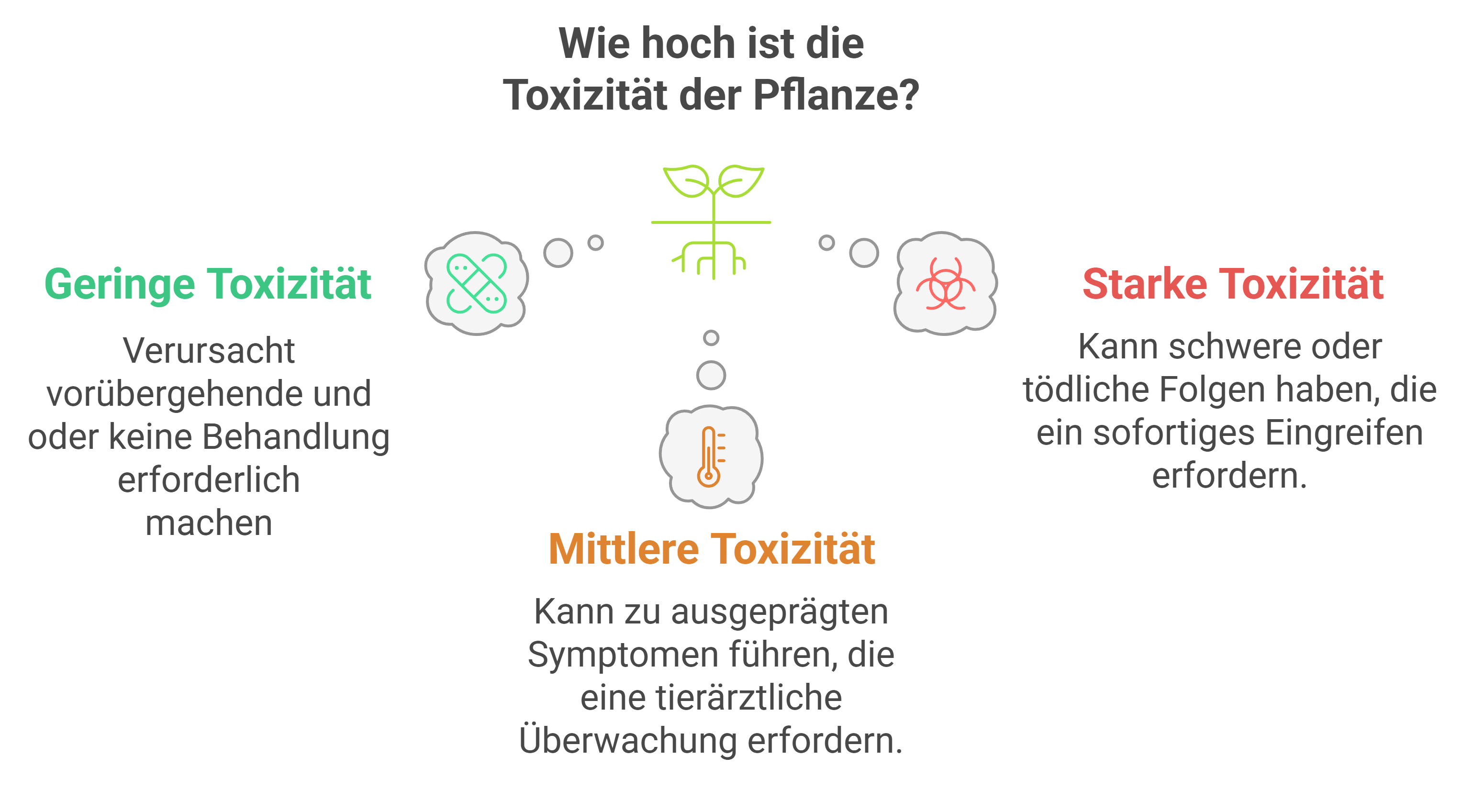 toxicit&eacute; plantes cheval
