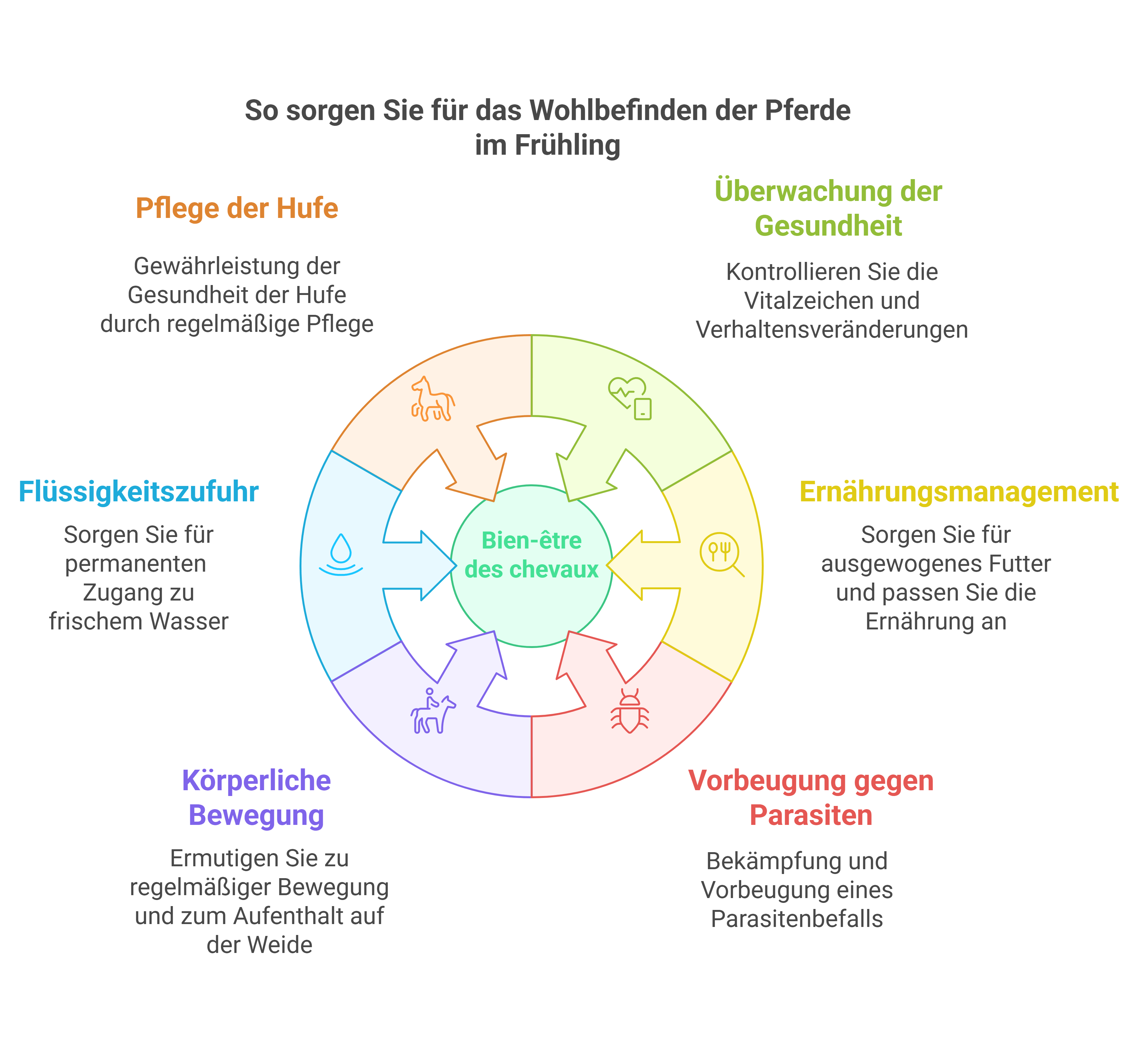 bien &ecirc;tre cheval printemps