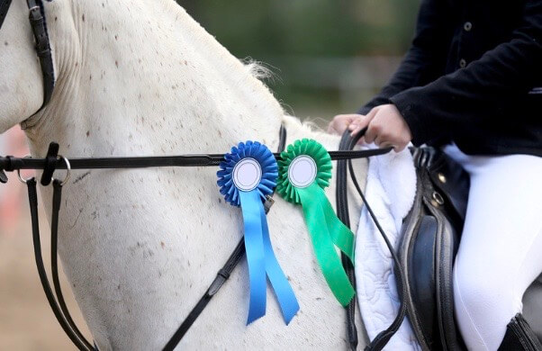 performance cheval 
