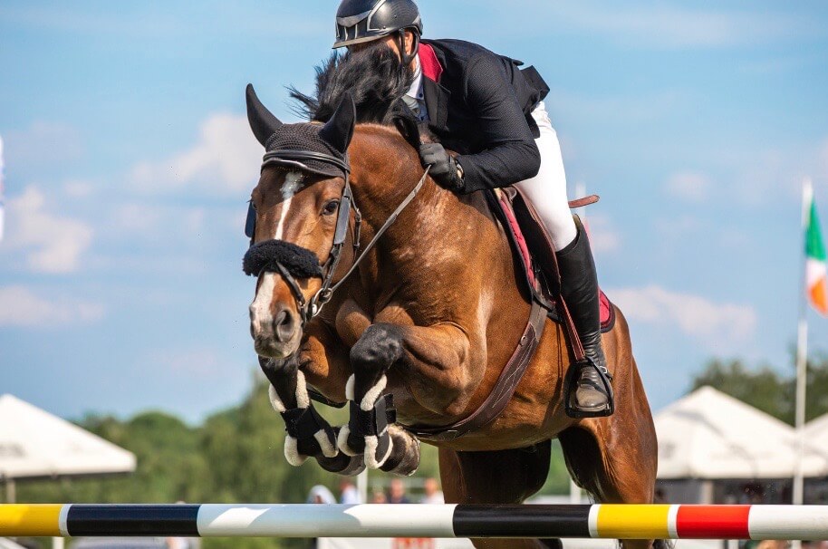 surmenage cheval