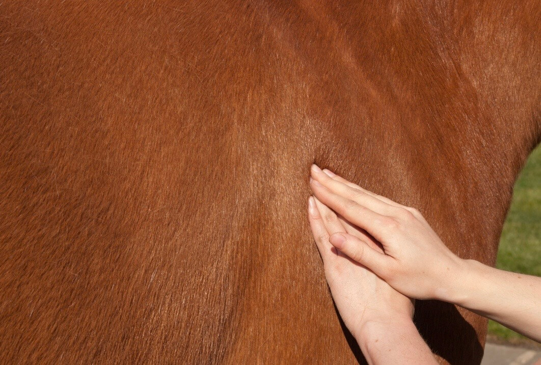 bienfaits massages arthrose