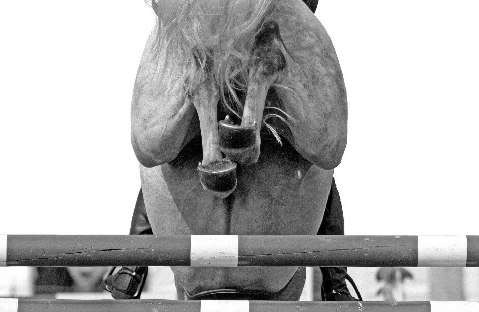 Arthrose cheval