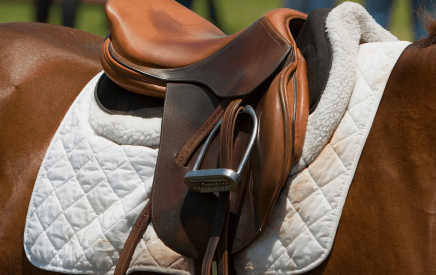 &Eacute;quipement Dorsalgie cheval