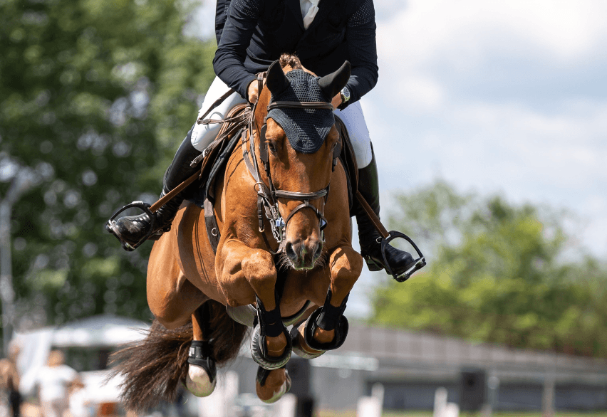 d&eacute;finition mollette