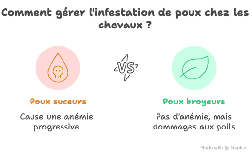 cycle sensibilisation immunitaire d&eacute;mangeaisons cheval dermite estival