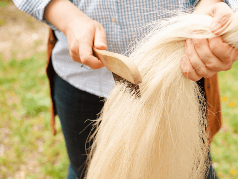 Que se passe-t-il lorsque le cheval a trop froid ?