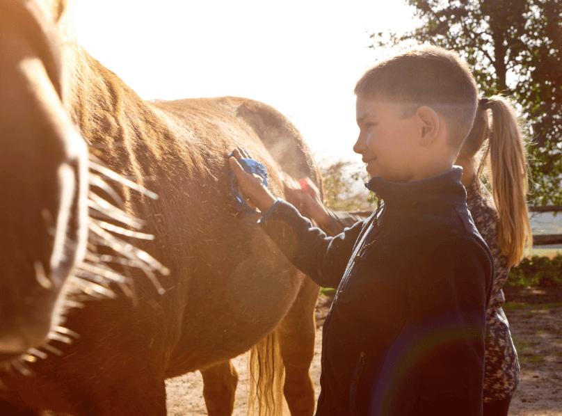 Que se passe-t-il lorsque le cheval a trop froid ?