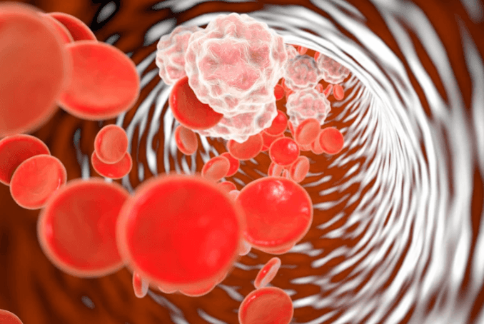 inflammation peau cheval