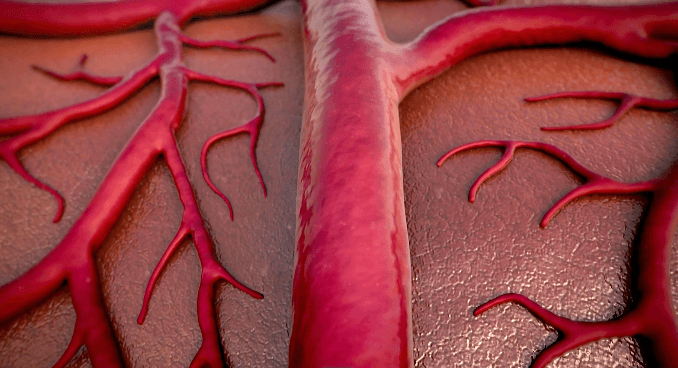              Favoriser la cicatrisation           