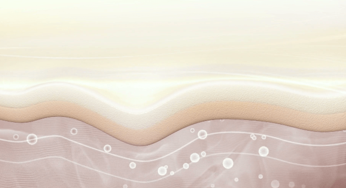              Favoriser la cicatrisation cheval