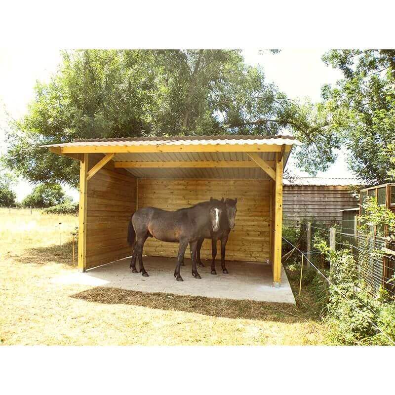 abri cheval protection soleil 