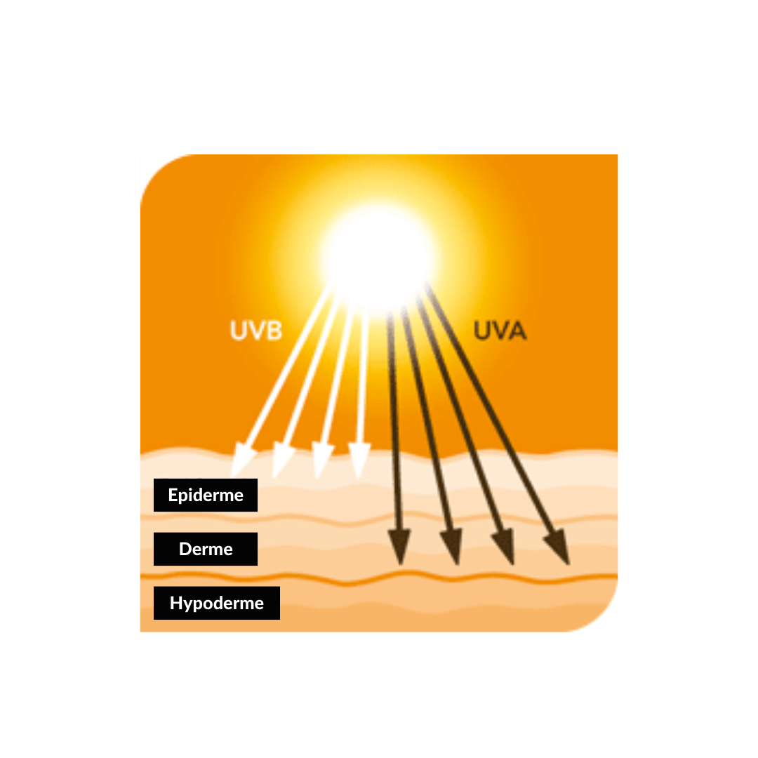Rayon du soleil uva et uvb et impact sur la peau