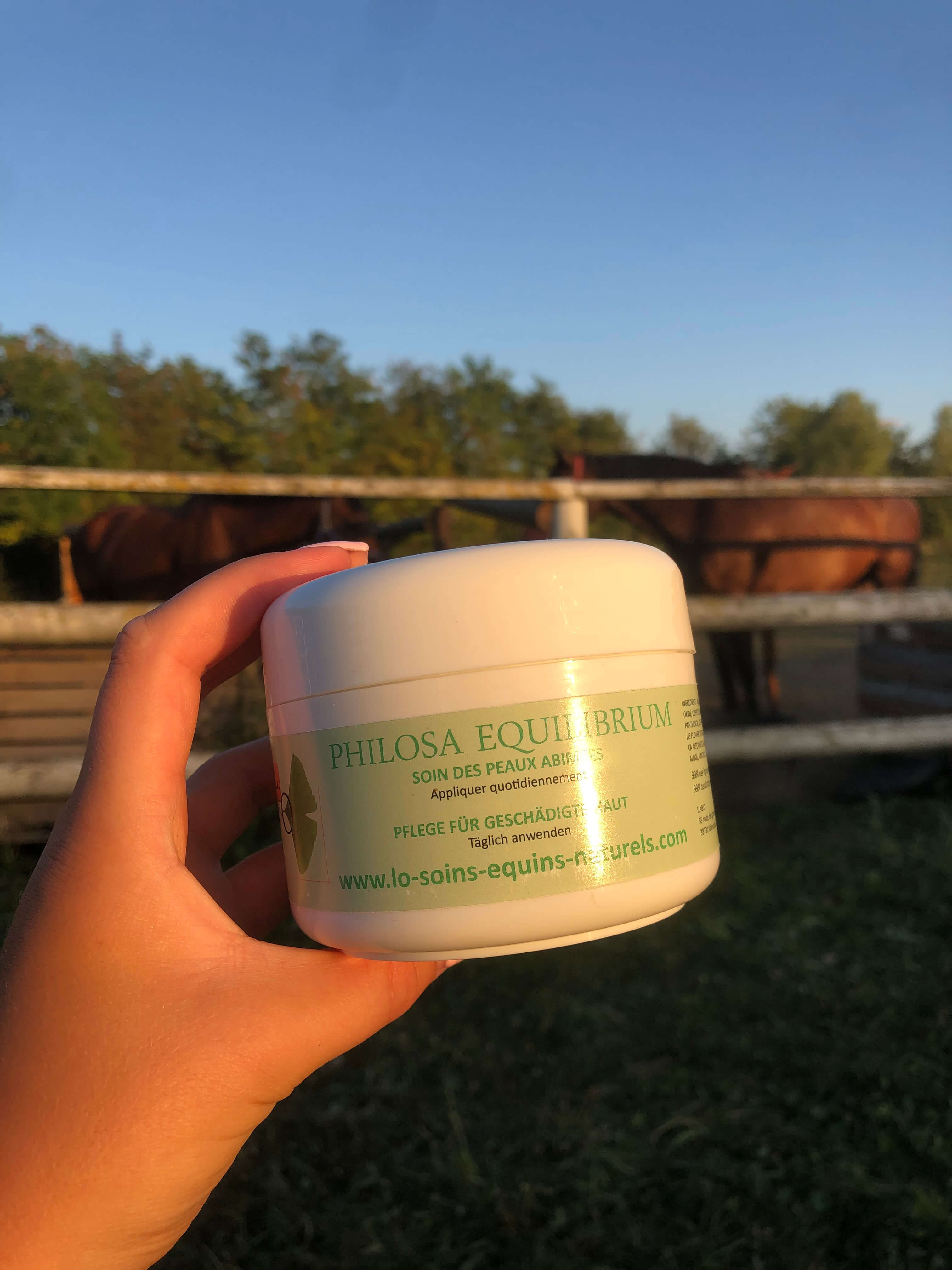 soins gale de boue cheval