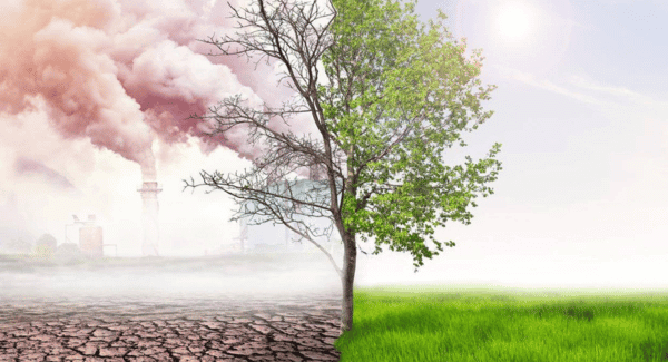 variations climatiques cheval