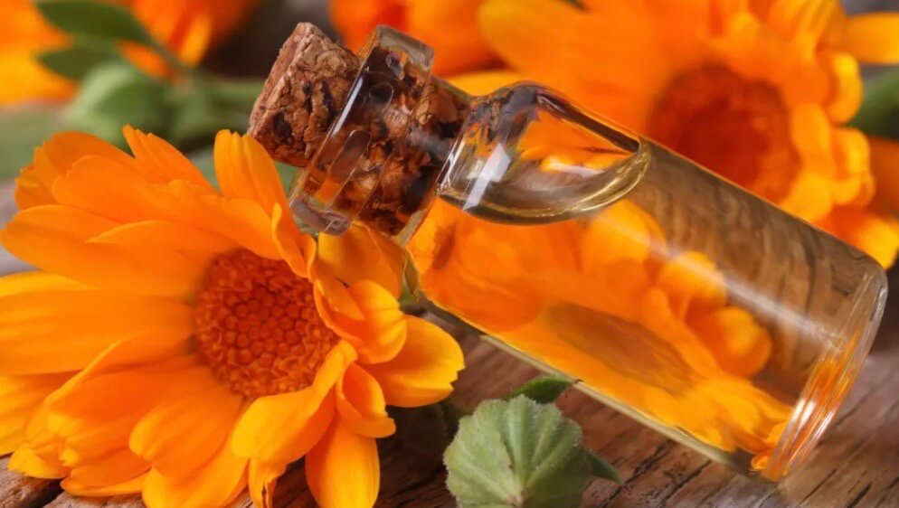 soins contre dermite cheval 