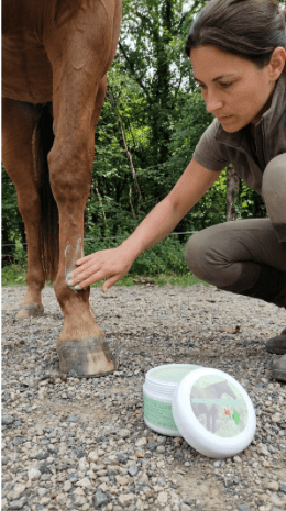 soins philosa gale de boue non occlusif