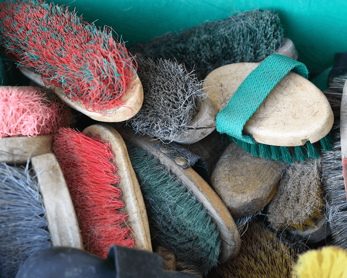 mycose t&ecirc;te cheval