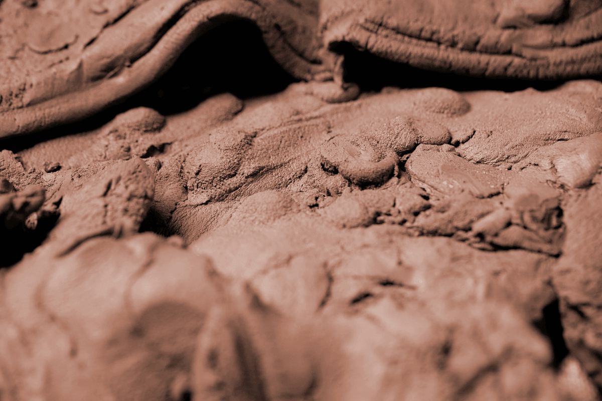 argile bentonite cheval assainissant