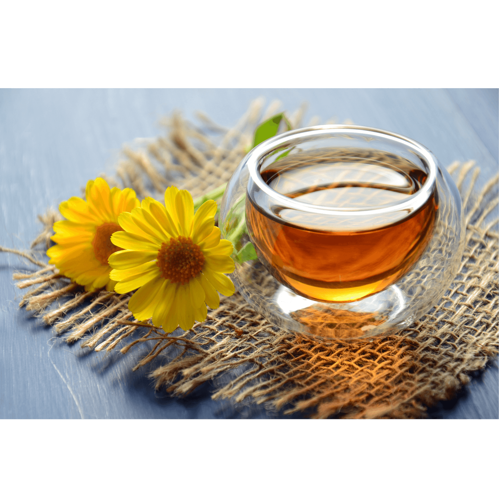 Feuchtigkeit Haut Pferd Ringelblume 