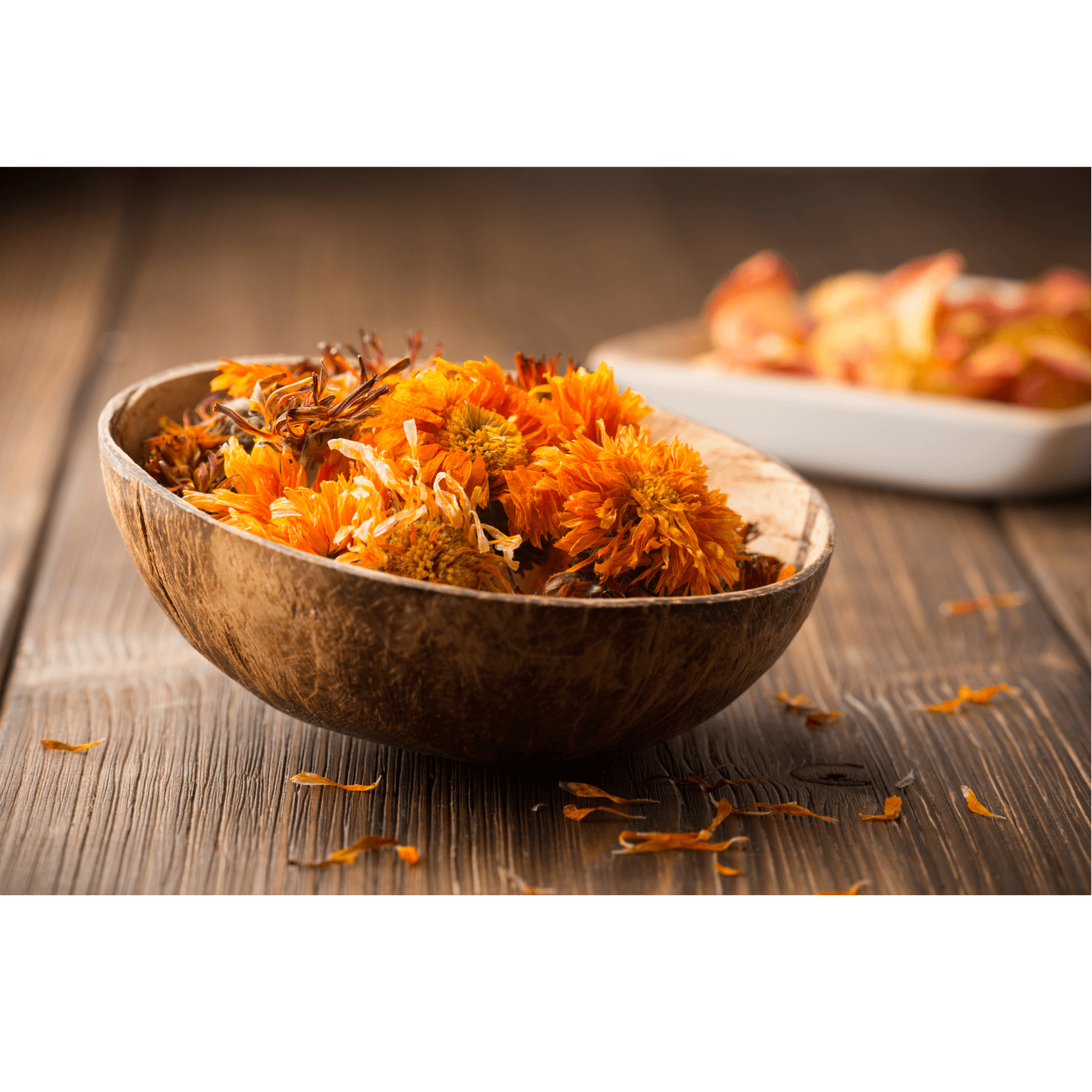 Feuchtigkeitscreme Ringelblume Pferd 