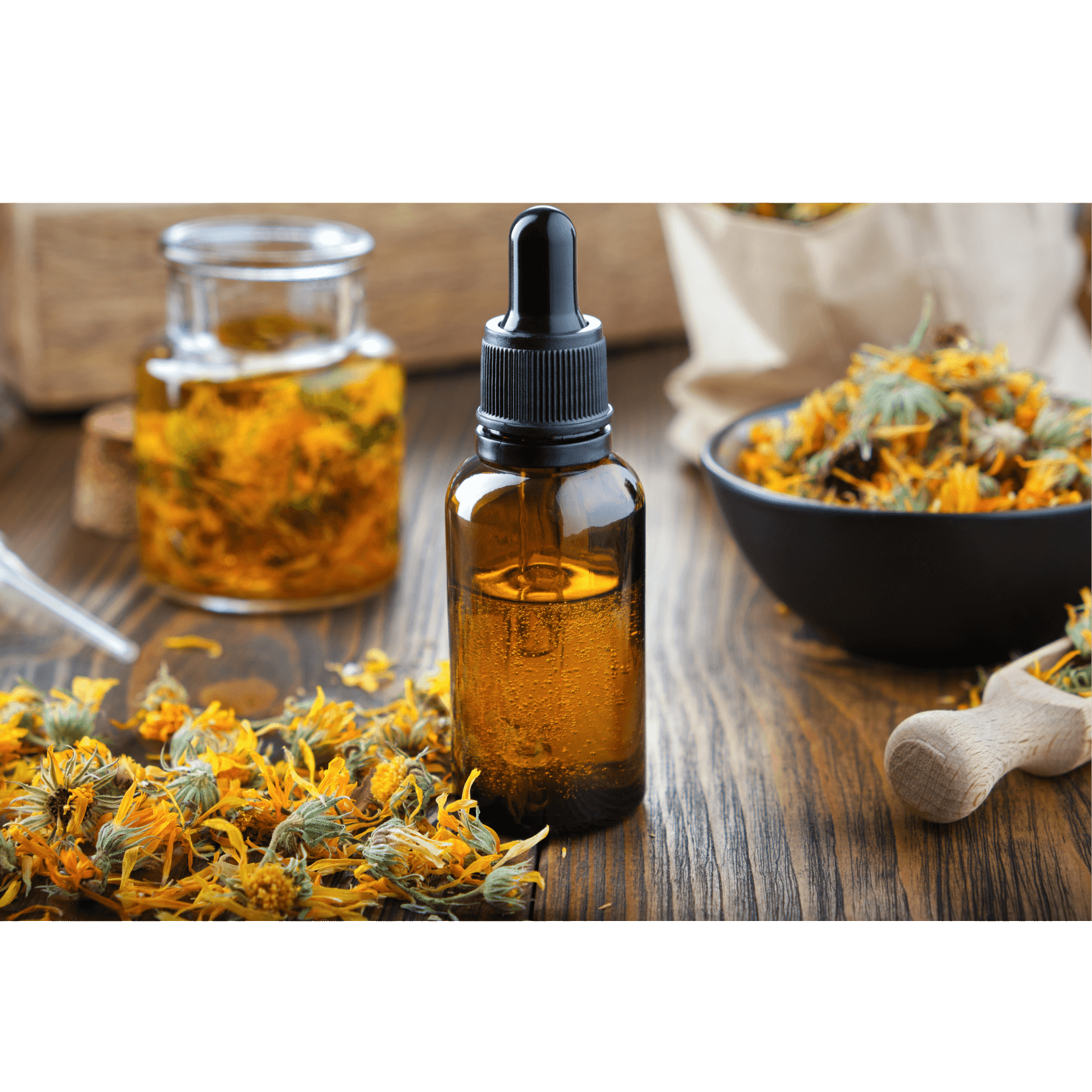 beruhigend entz&uuml;ndungshemmend Pferd Ringelblume 