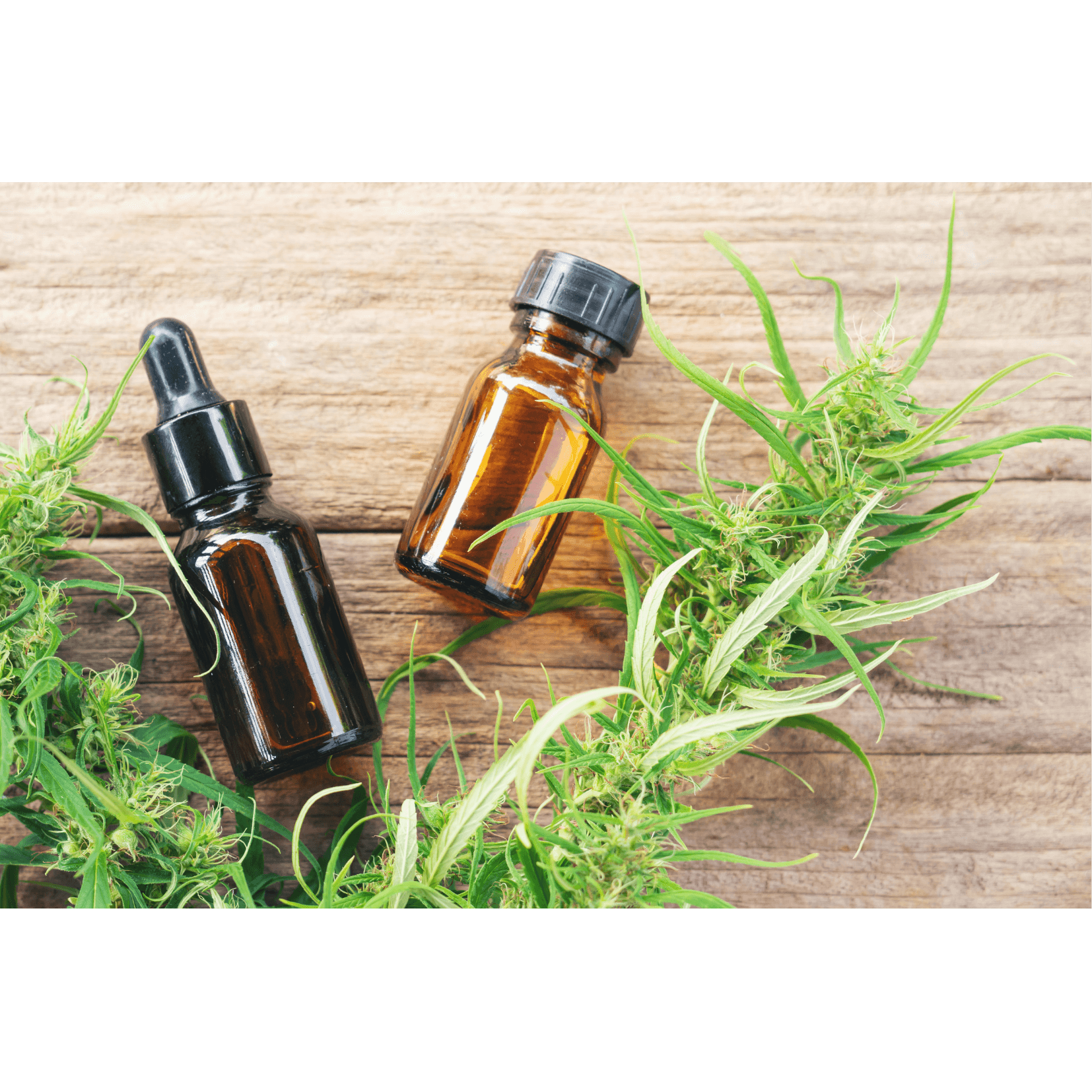 Cannabidiol Pferd