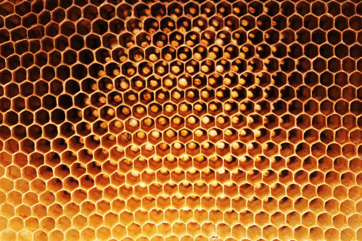cire d'abeille cheval protecteur