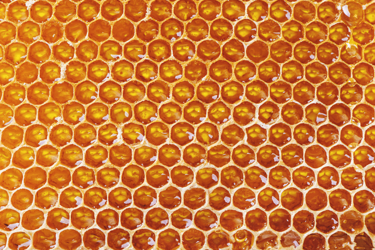 cire d'abeille cheval emollient