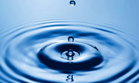 Eigenschaften Wasser Pferde