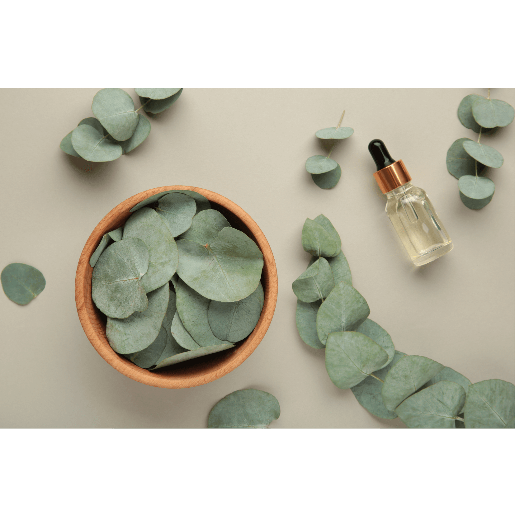 massage th&eacute;rapeutique muscles cheval eucalyptus